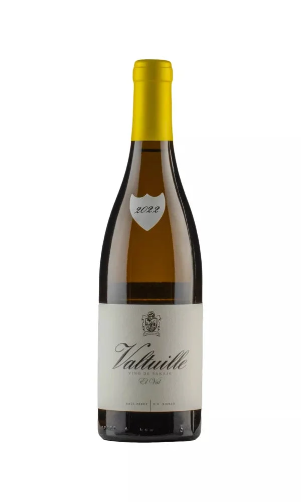 2022 | Castro Ventosa | El Castro de Valtuille Godello - Wine