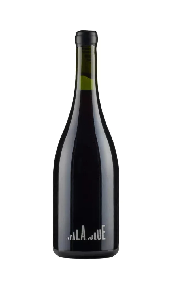 2019 | Lavaque Bayala | Criolla Chica - Wine
