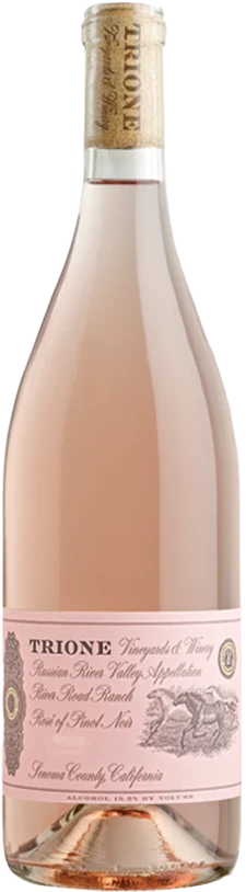 2023 | Trione | Pinot Noir Rose - Wine