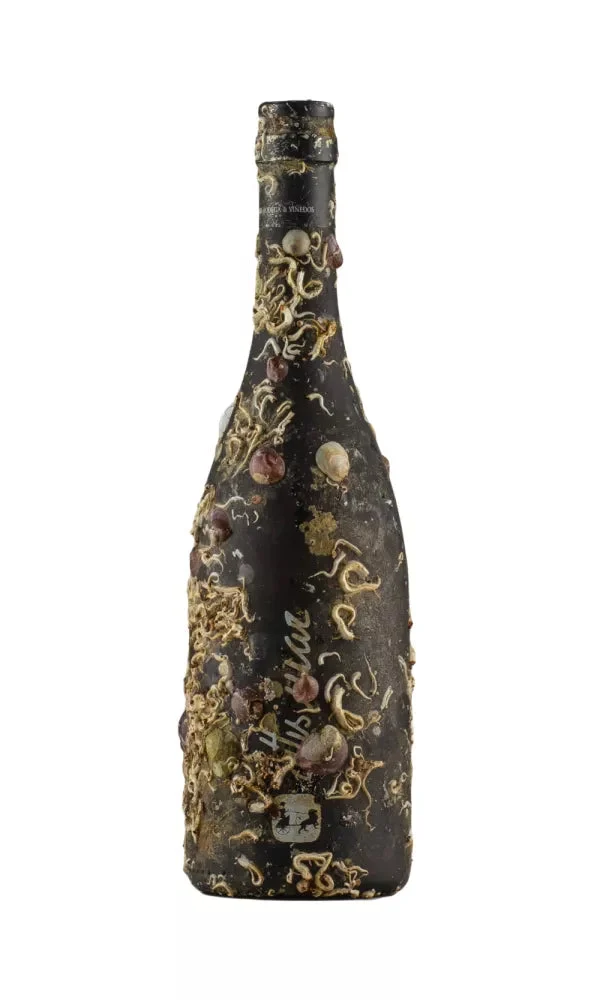 2022 | Attis | Attis Mar Albarino - Wine