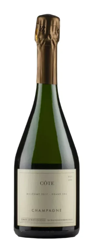 2017 | Domaine Les Monts Fournois | Cote - Wine