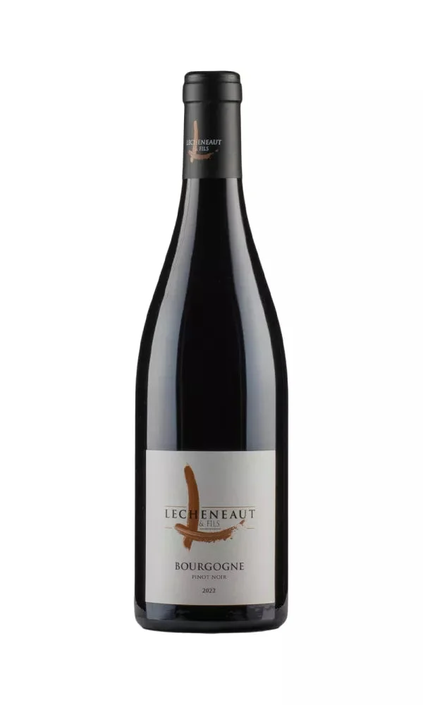 2022 | Domaine Lecheneaut | Bourgogne Pinot Noir - Wine