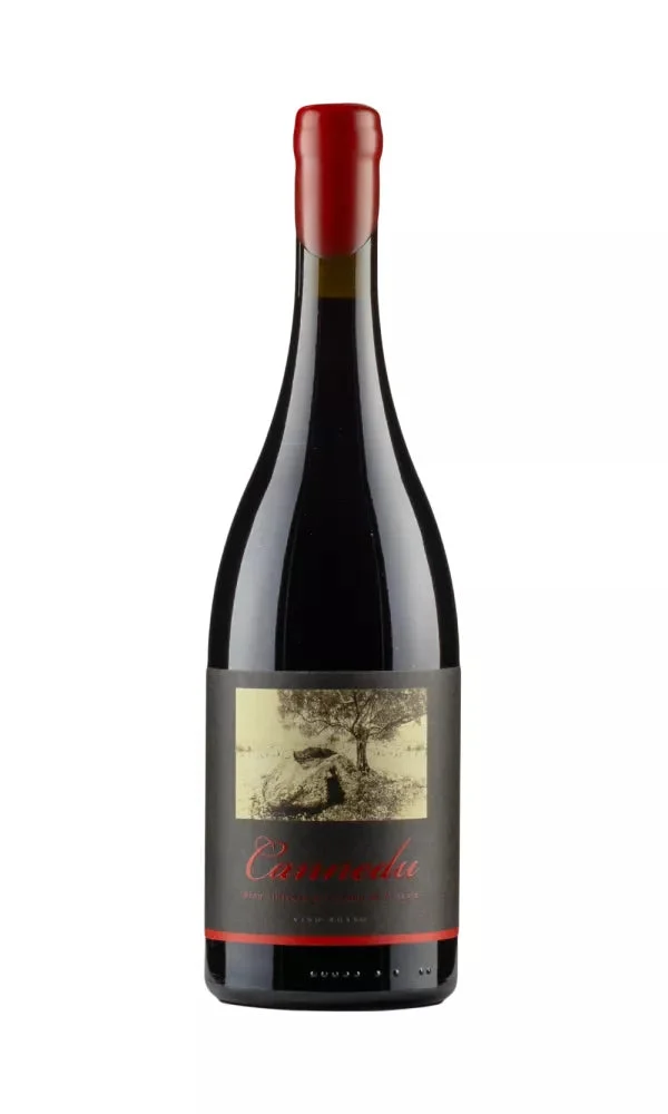 2023 | Cannedu | Pascale - Wine
