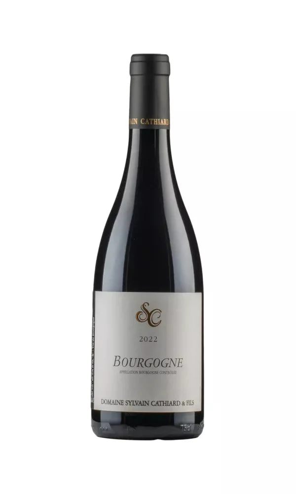 2022 | Sylvain Cathiard | Bourgogne Rouge - Wine