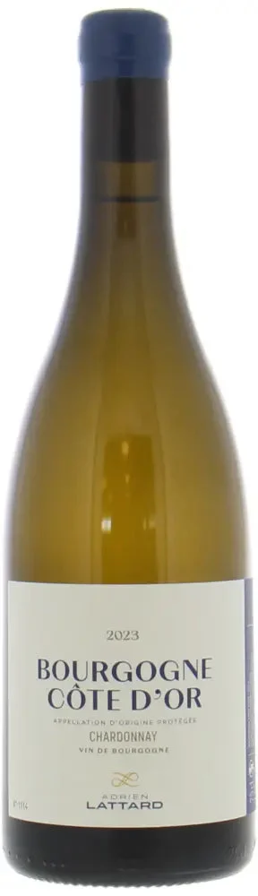 2023 | Adrien Lattard | Bourgogne Cote d'Or Chardonnay - Wine