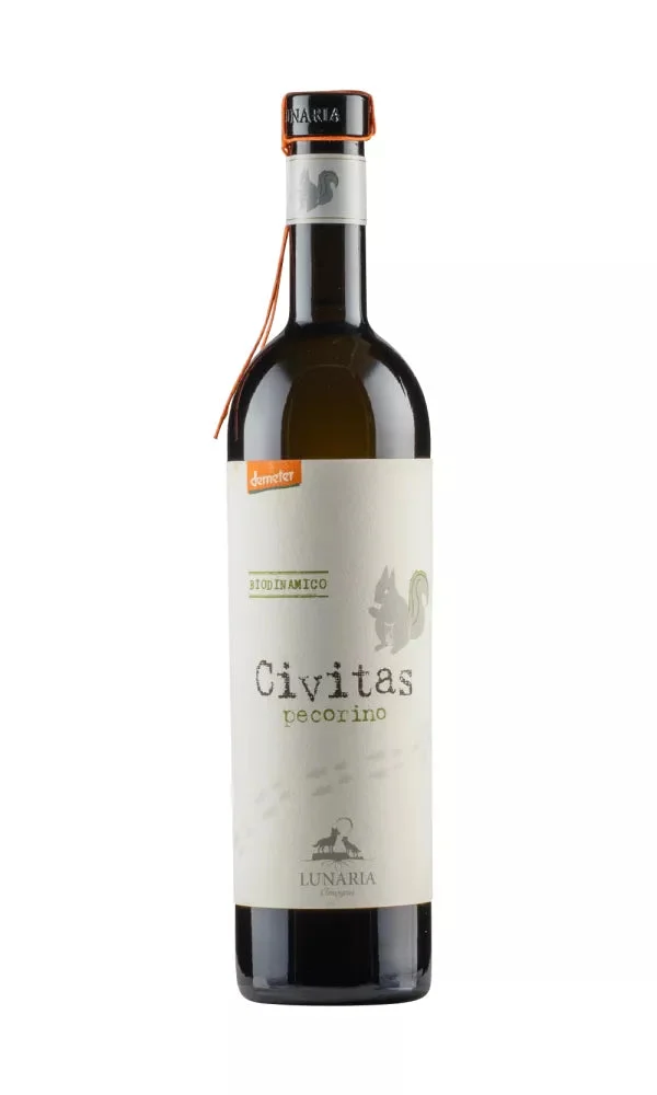2023 | Lunaria Orsogna | Civitas Pecorino - Wine