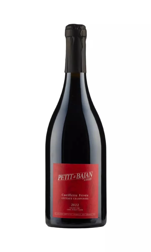 2022 | Petit & Bajan | Coteaux Champenois Cueillette Privee - Wine