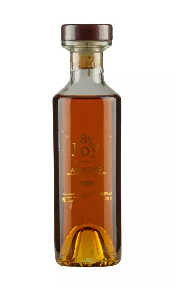 Domaine de Joy 1995 Vintage Armagnac | 200ML