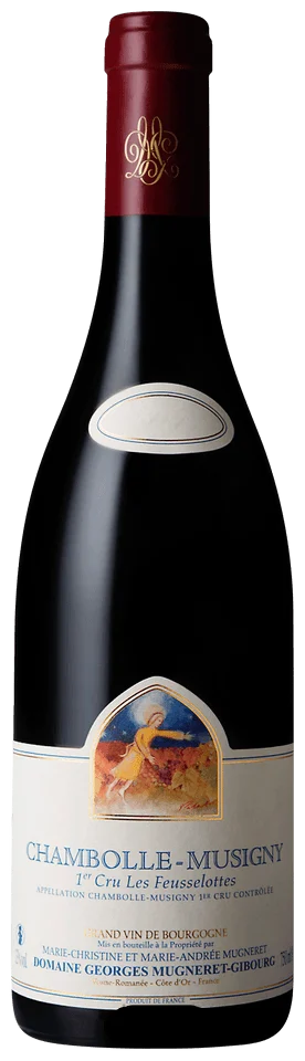2009 | Domaine Georges Mugneret-Gibourg | Les Feusselottes