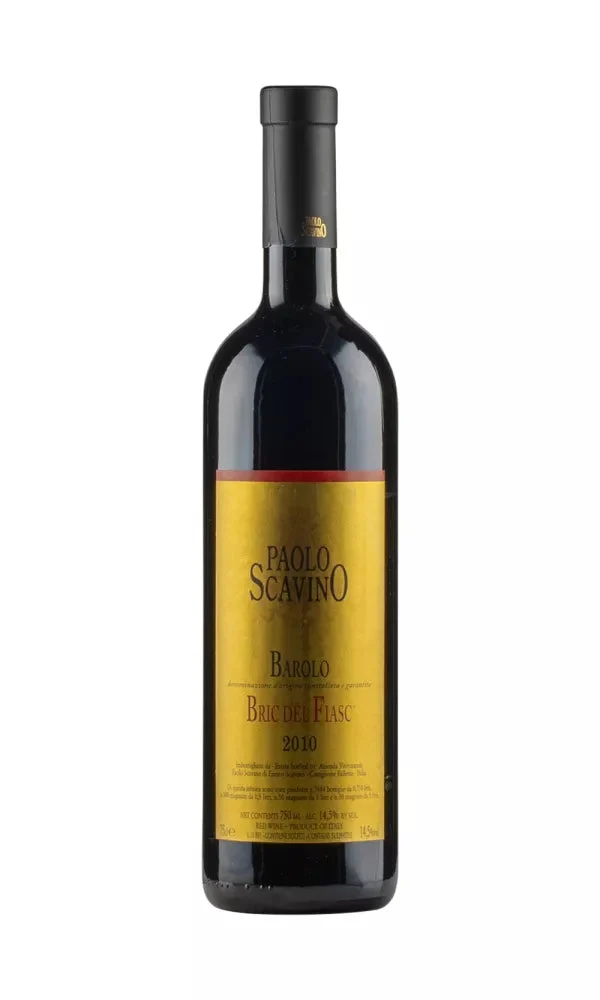 2010 | Paolo Scavino | Bric del Fiasc - Wine