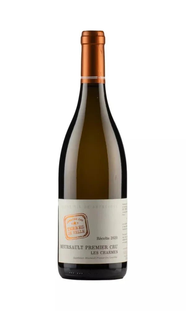 2020 | Domaine Terres de Velle | Les Charmes - Wine