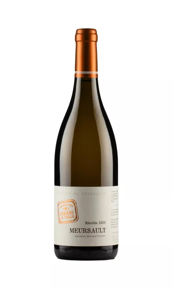 2020 | Domaine Terres de Velle | Meursault - Wine