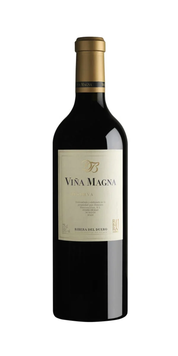 2014 | Dominio Basconcillos | Vina Magna Reserva - Wine