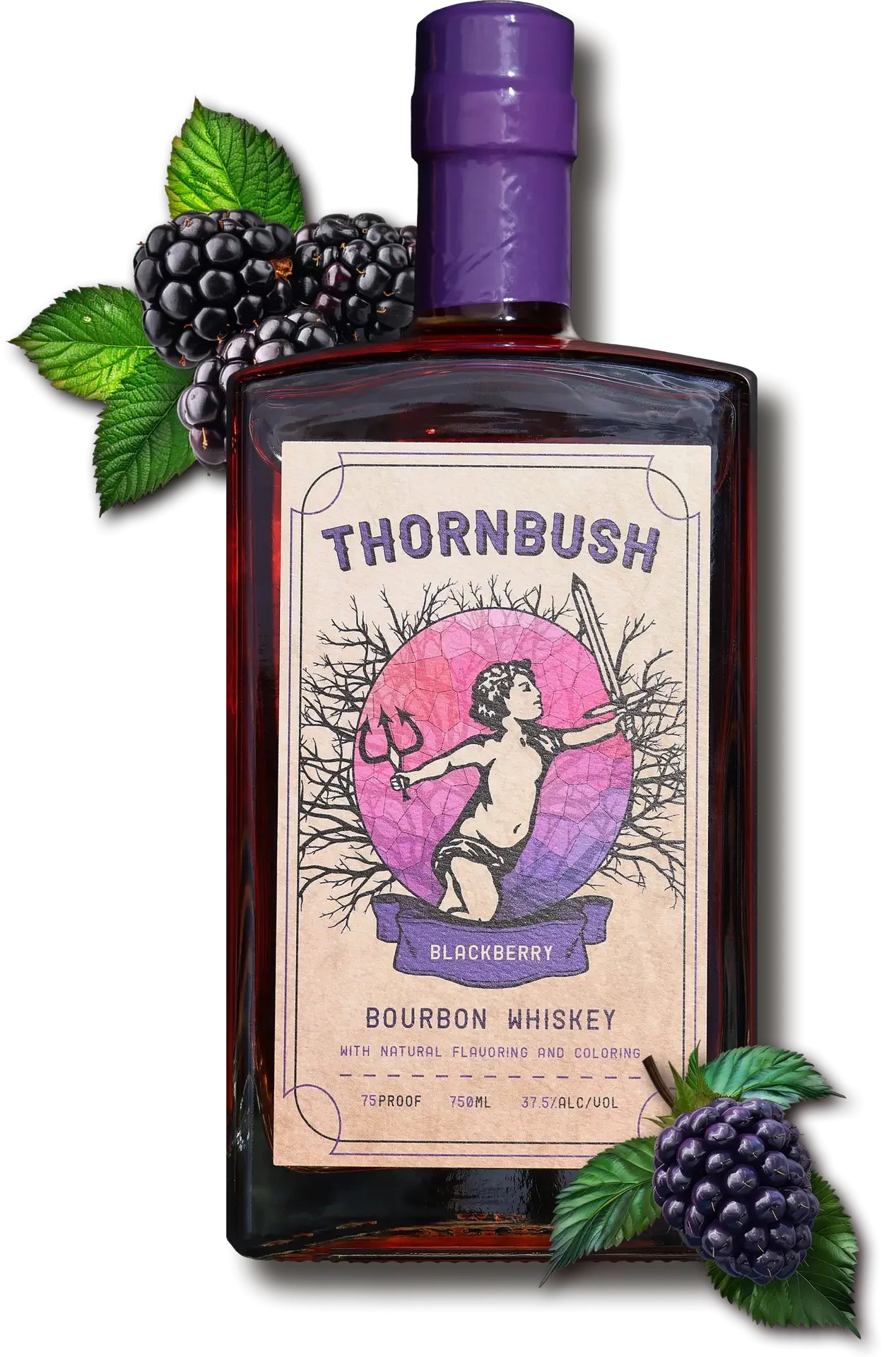 Thornbush Blackberry Bourbon Whiskey