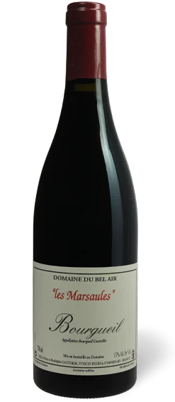 Domaine Gauthier - Bourgueil Marsaules 2021