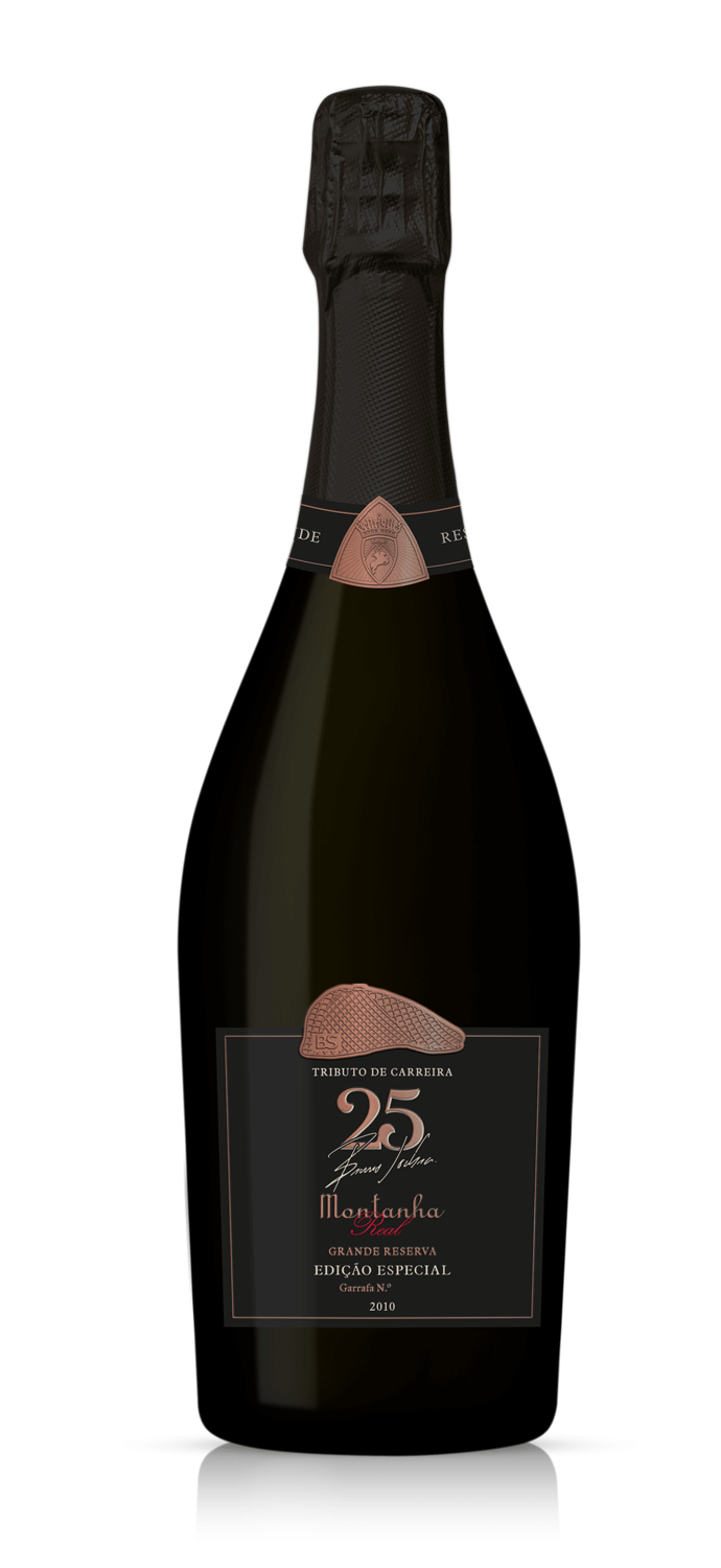 Espumante Montanha Tributo De Carreira Bruto 2010 - WineVins