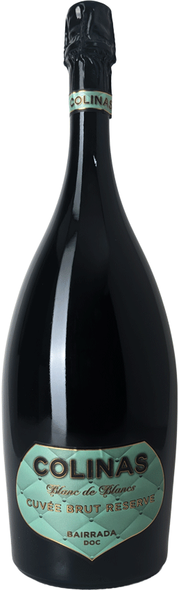 Espumante Colinas Sao Lourenco Blanc De Blancs Bruto Magnum 2015 - WineVins