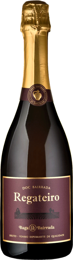 Espumante Regateiro Bruto Magnum - WineVins
