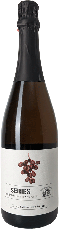 Espumante Series Rose Bruto 2011 - WineVins