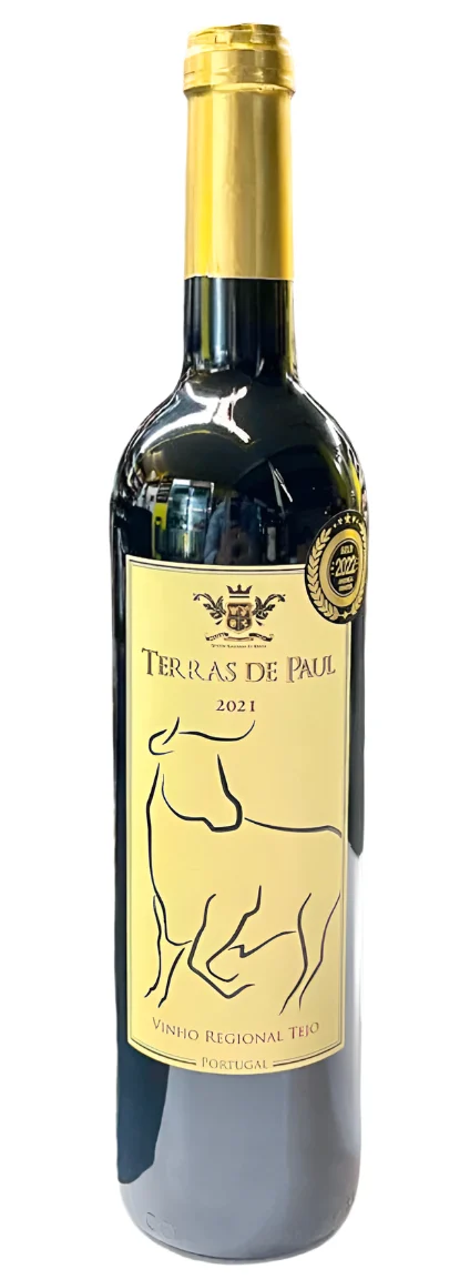 2021 | Quinta Monteiro de Matos | Terras de Paul Tinto - Wine