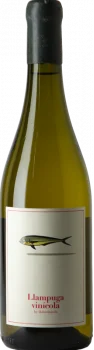 4 Kilos Llampuga Vinicola 2025 - Bodega 4 Kilos Vinícola