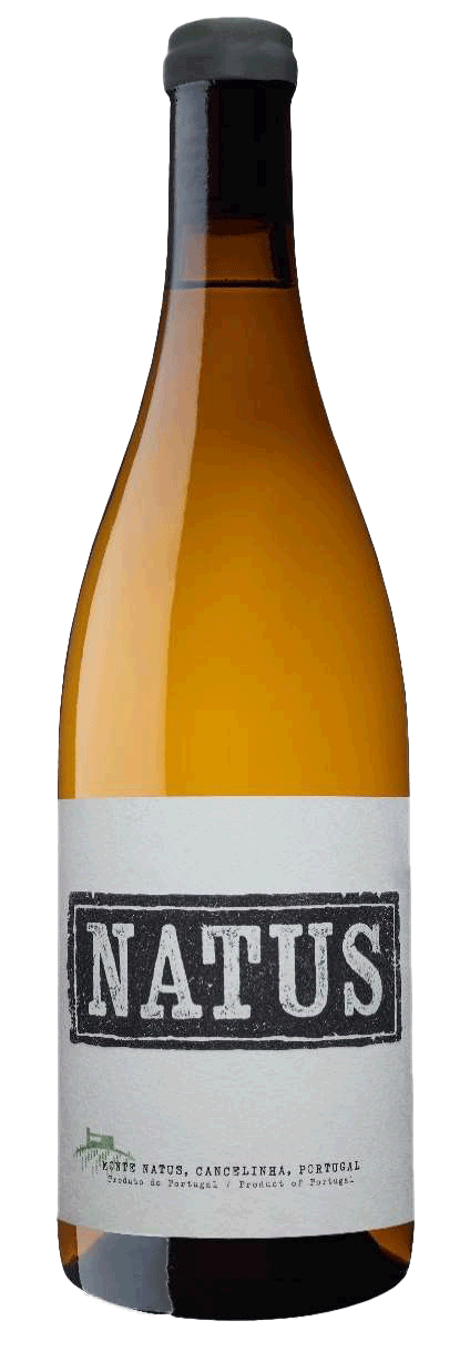Natus Branco 2023 - WineVins