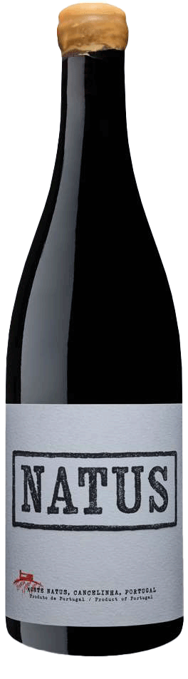 Natus Tinto 2022 - WineVins