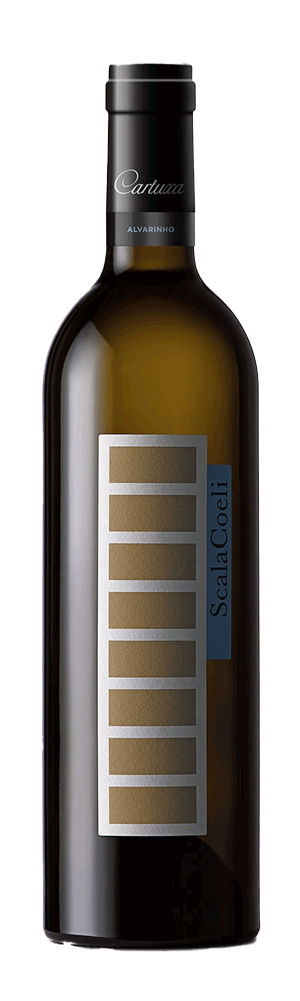 Scala Coeli Sauvignon Blanc Branco 2022 - WineVins