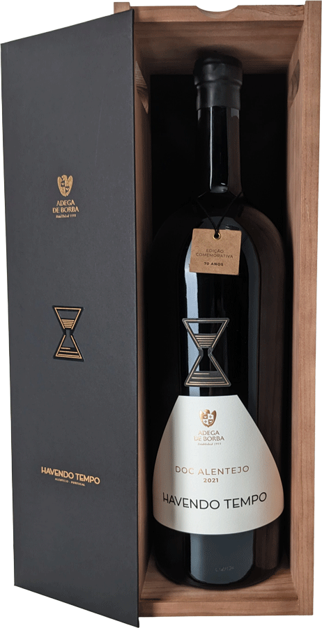 Havendo Tempo Tinto 3litros 2021 - WineVins