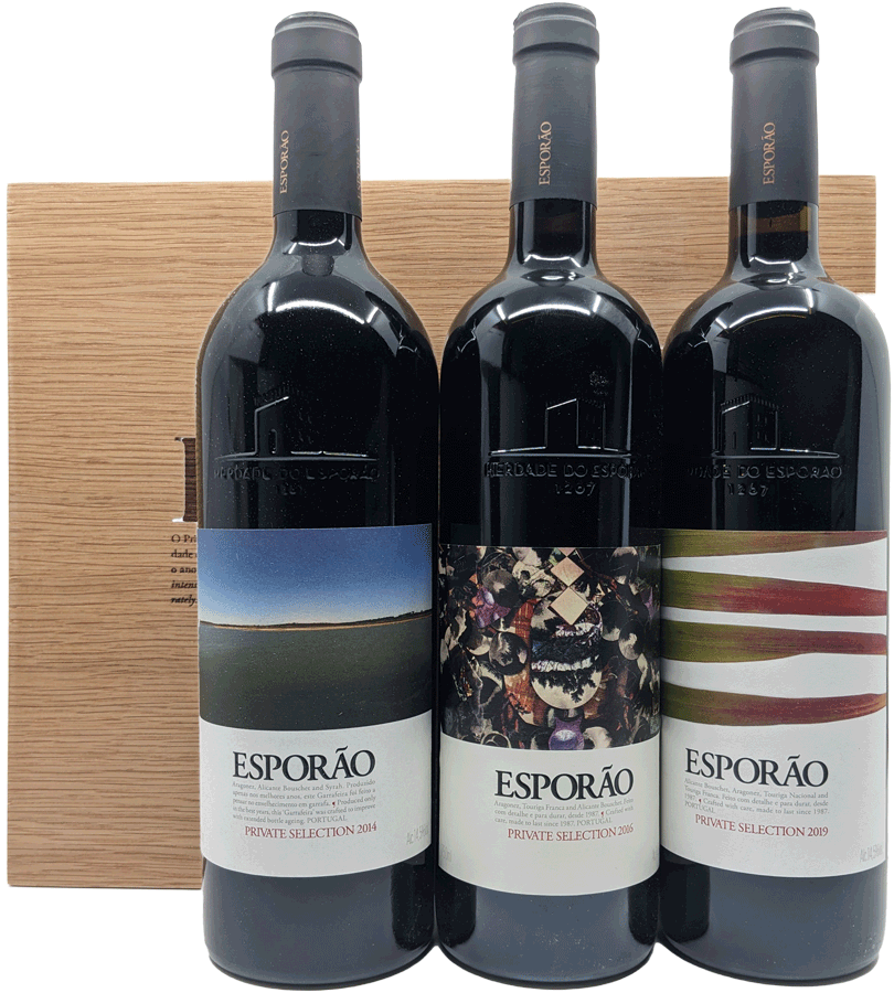 Conjunto Esporao Vertical (14/16/19) - WineVins