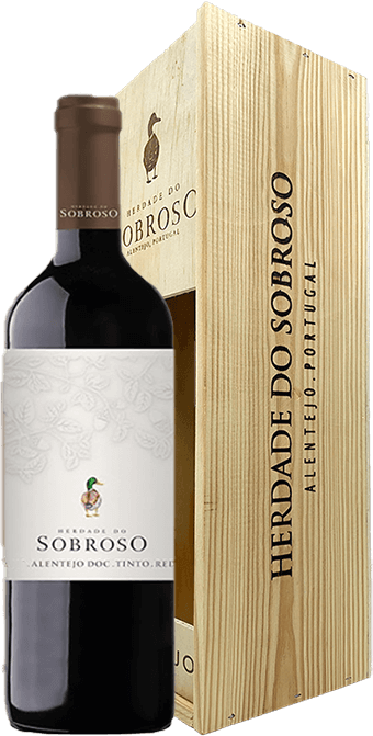 Sobroso Tinto Magnum 2023 - WineVins