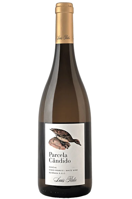 Luis Pato Parcela Cândido Blanco 2023
