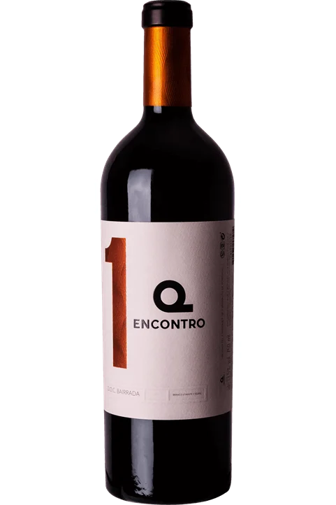 1er Encuentro Branco 2015 - Quinta do Encontro