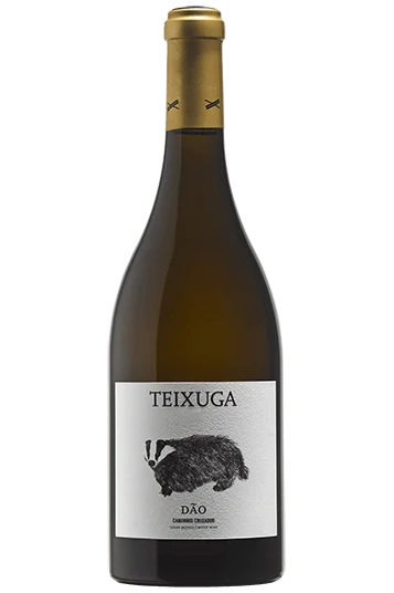 Teixuga Blanco 2020 - Caminhos Cruzados