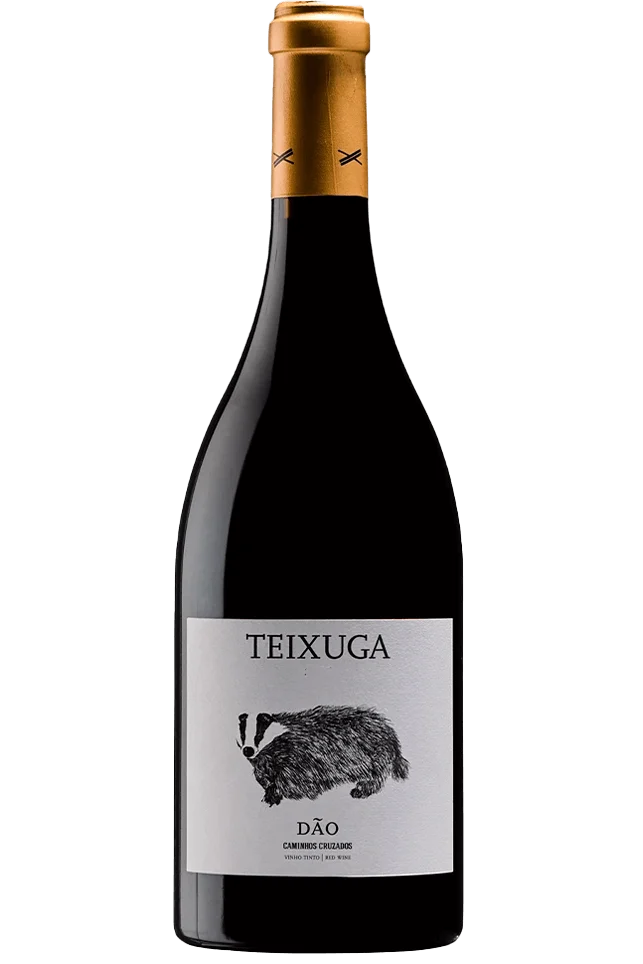Teixuga Tinto 2020 - Caminhos Cruzados