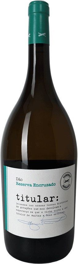 Titular Reserva Encruzado Branco Magnum 2021 - WineVins