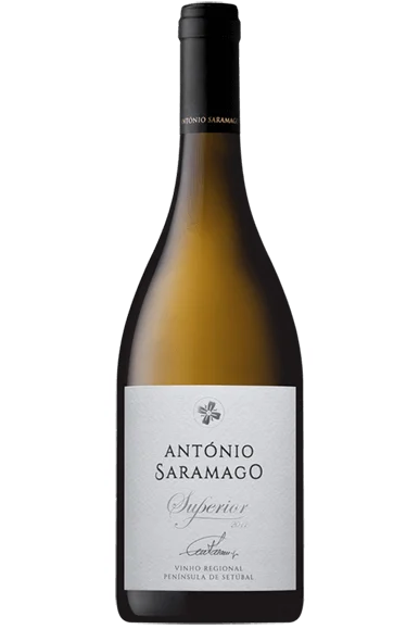 António Saramago Superior Branco 2017