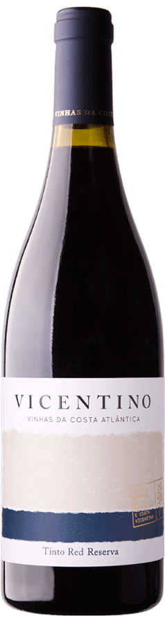 Vicentino Reserva Touriga Nacional Tinto 2020 - WineVins
