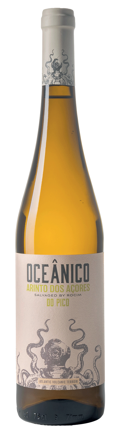 Oceanico Arinto Blanco 2023 - WineVins