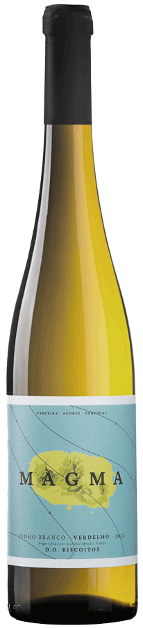 Magma Verdelho Branco 2023 - WineVins