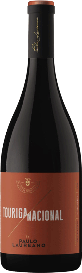 Paulo Laureano Touriga Nacional Tinto 2019 - WineVins
