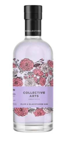 Collective Arts Plum and Blackthorn Gin