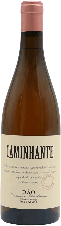 Caminhante Rose 2022 - WineVins
