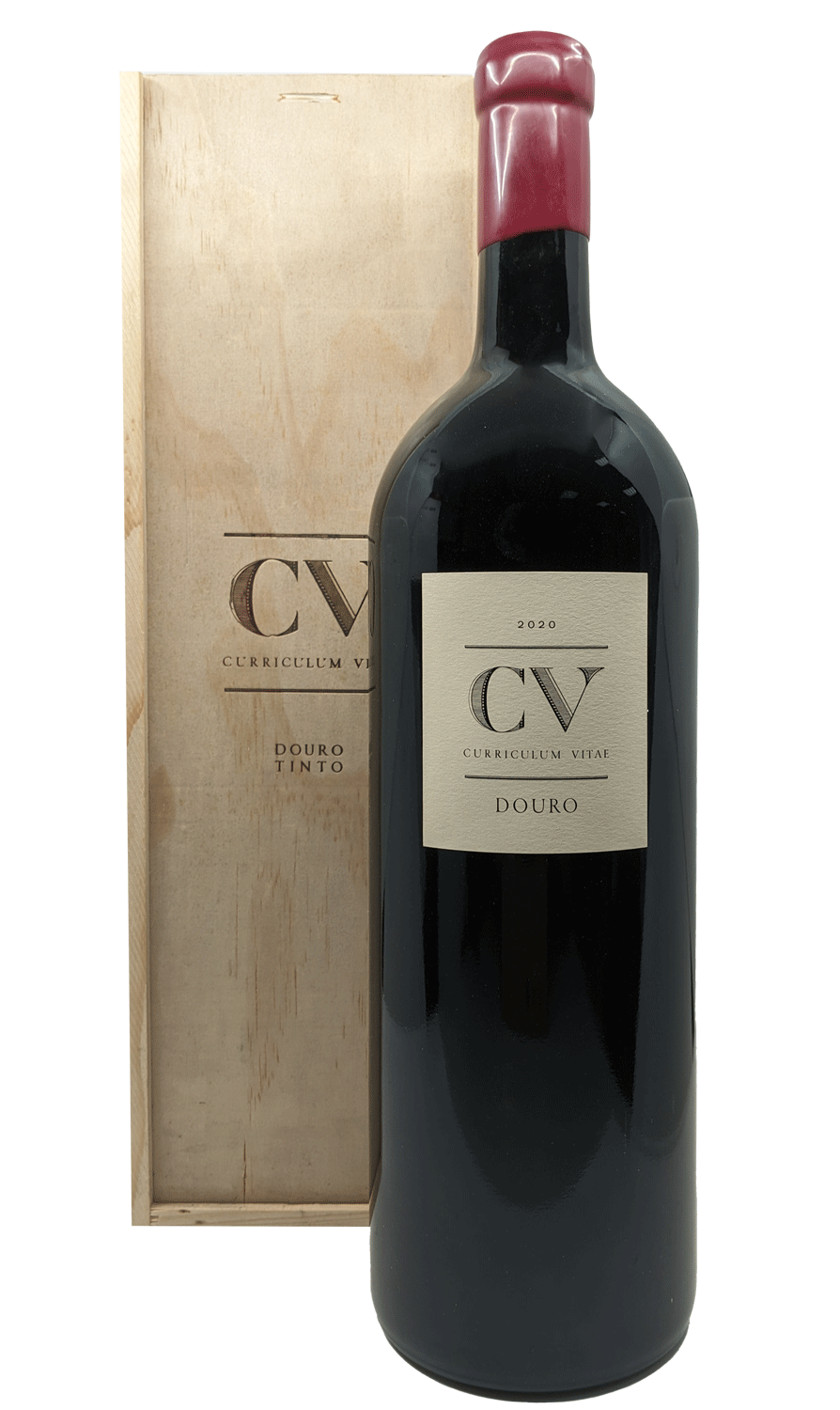 Cv-Curriculum Vitae Red 3 Liters 2020