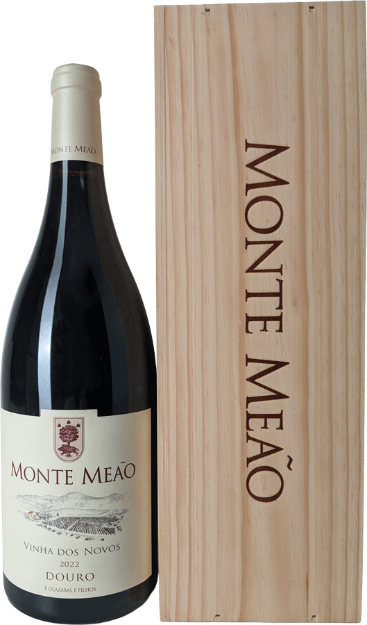Monte Meão Vinha Dos Novos Tinto Magnum 2022 - WineVins