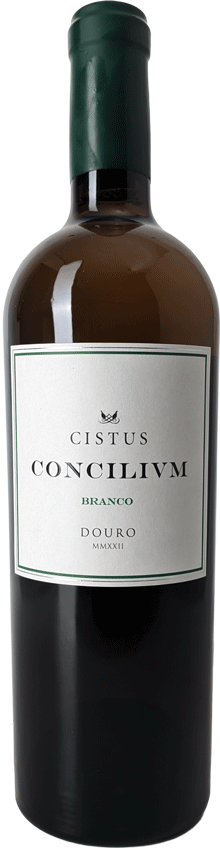 Cistus Concilivm Branco 2022 - WineVins