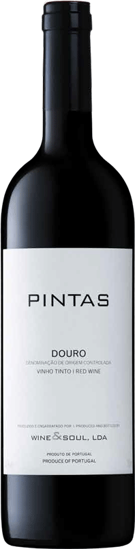 Pintas Tinto 2023 - WineVins
