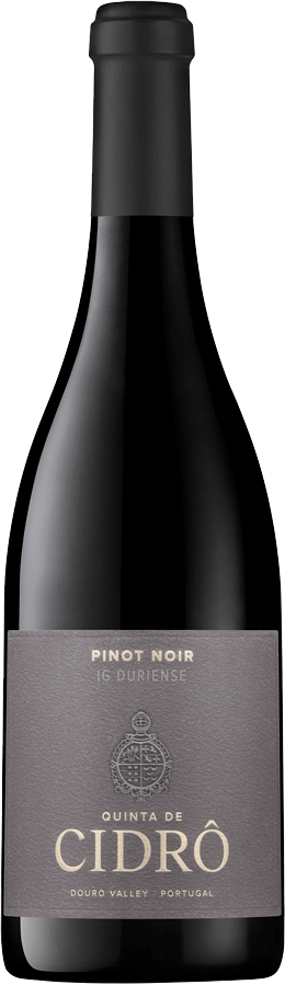 Quinta De Cidro Pinot Noir Tinto 2023 - WineVins