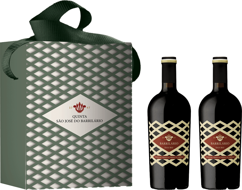 Conjunto Barrilario Tinto 2023 - WineVins