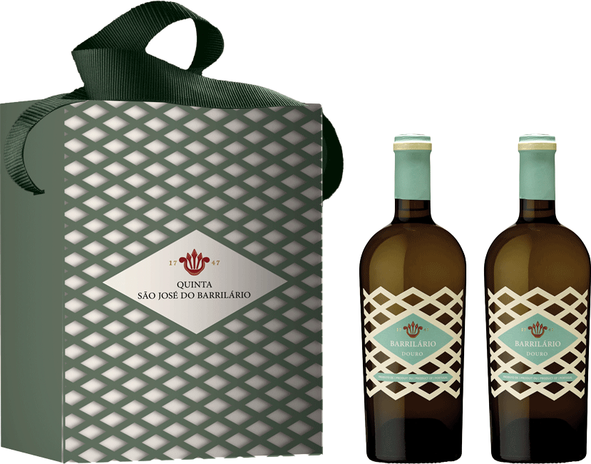 Conjunto Barrilario Branco 2024 - WineVins